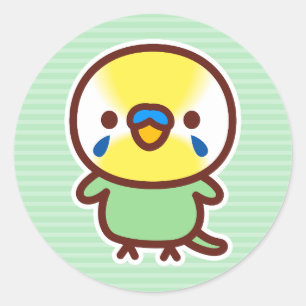 Budgerigar / Pastel rainbow green male Classic Round Sticker