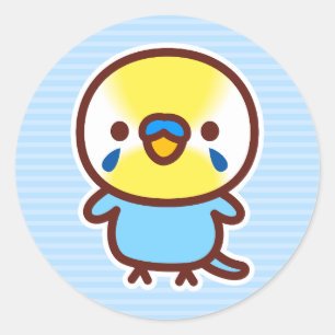 Budgerigar / Pastel rainbow male Classic Round Sticker