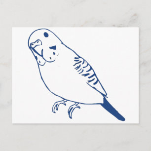 Budgerigar Postcard