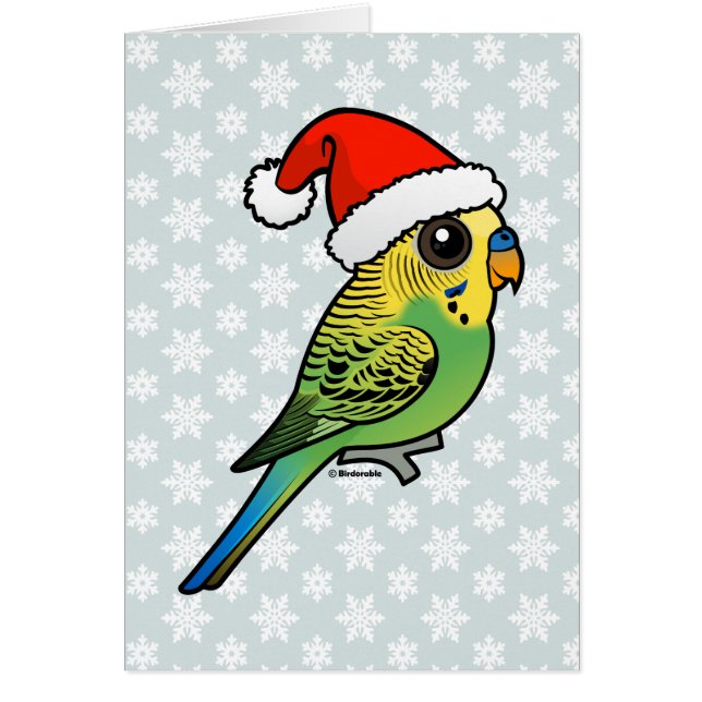 Budgerigar Santa Claus (Front)
