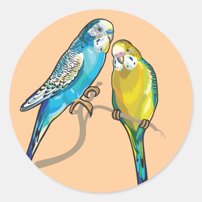 budgerigars classic round sticker (Front)