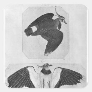 Budgerigars, from the The Vallardi Album Square Sticker