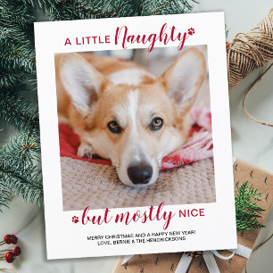 Budget A Little Naughty Dog Pet Photo Holiday Card