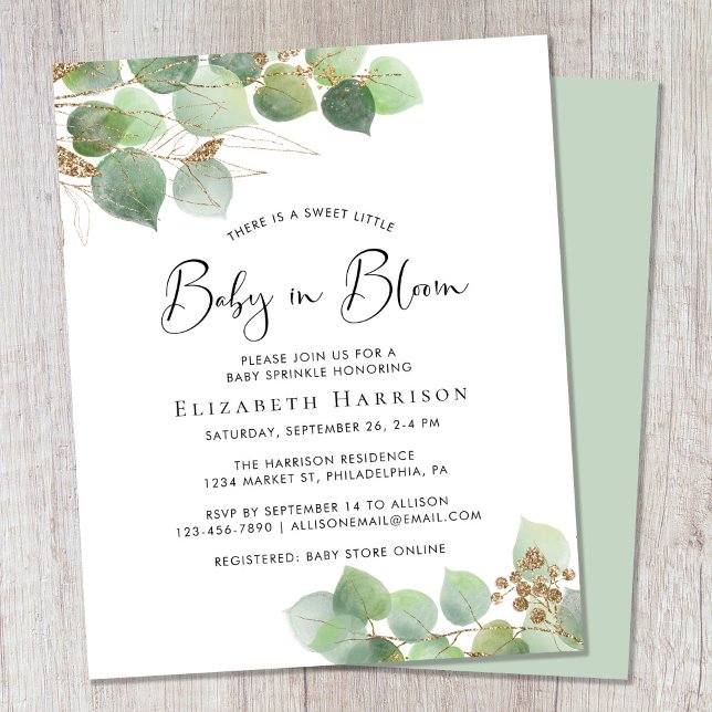 Budget Baby in Bloom Eucalyptus Baby Sprinkle (Creator Uploaded)