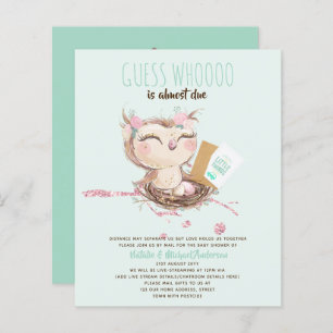 BUDGET Baby Shower Drive By Mail Owl Cute Invite