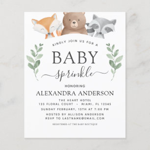 Budget Baby Sprinkle Shower Woodland Eucalyptus Flyer
