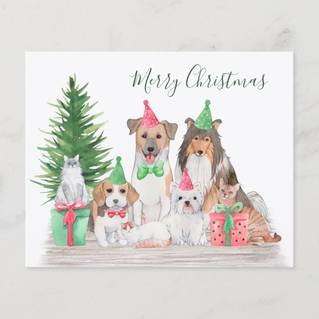 Budget Christmas Animals Dog Cat Puppy Kitten Card (Front)