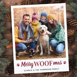 Budget Christmas From The Dog Simple Pet Photo