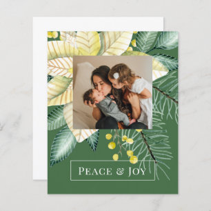 BUDGET Christmas Winter Flower Peace And Joy Photo