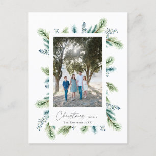 Budget Christmas wishes Boho Spruce and Fir  Postcard
