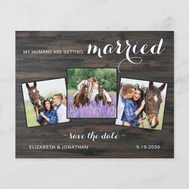 Budget Country 3 Photo Horse Wedding Save The Date (Front)