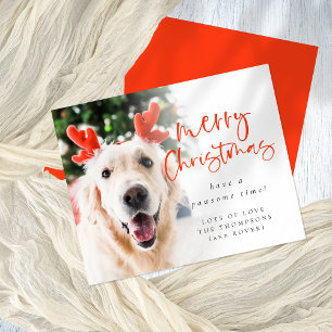 Budget Custom Pet Photo Merry Christmas Card