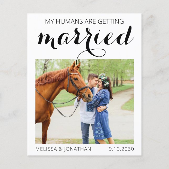 Budget Custom Photo Horse Equestrian Save The Date (Front)