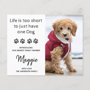Budget Custom Photo New Pet New Puppy Announcement