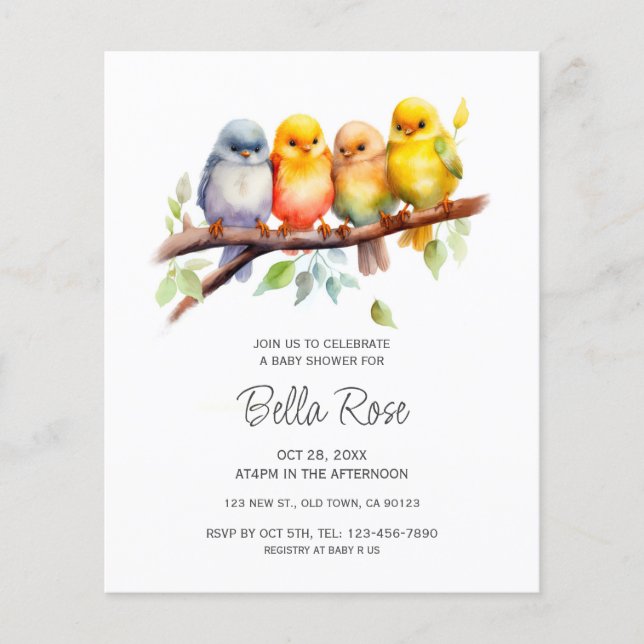 Budget Cute Bird Baby Shower Invites (Front)
