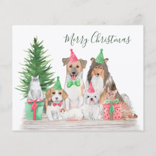 Budget Cute Christmas Animals Dog Cat Puppy Kitten