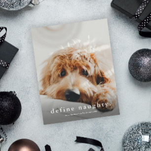 Budget Define Naughty Funny Pet Christmas Card