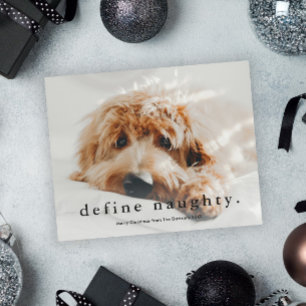 Budget Define Naughty Funny Pet Christmas Card