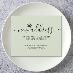 Budget Dog Green Moving Announcement