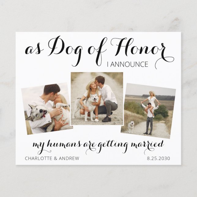 Budget Dog Of Honour Photos Wedding Save The Date (Front)
