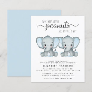 Budget Elephant Twin Baby Boys Shower By Mail