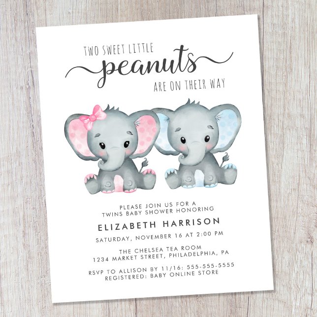 Budget Elephant Twin Boy Girl Baby Shower Invite (Creator Uploaded)