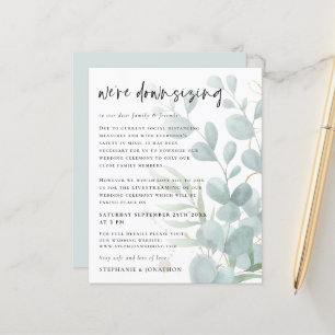 Budget Eucalyptus Downsize Livestream Wedding