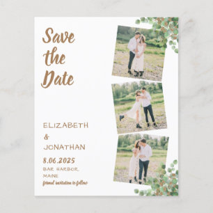 Budget Eucalyptus Foliage 3 Photo Save The Date