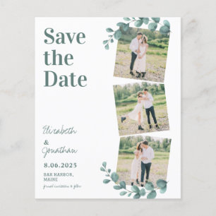Budget Eucalyptus Greenery 3 Photo Save The Date