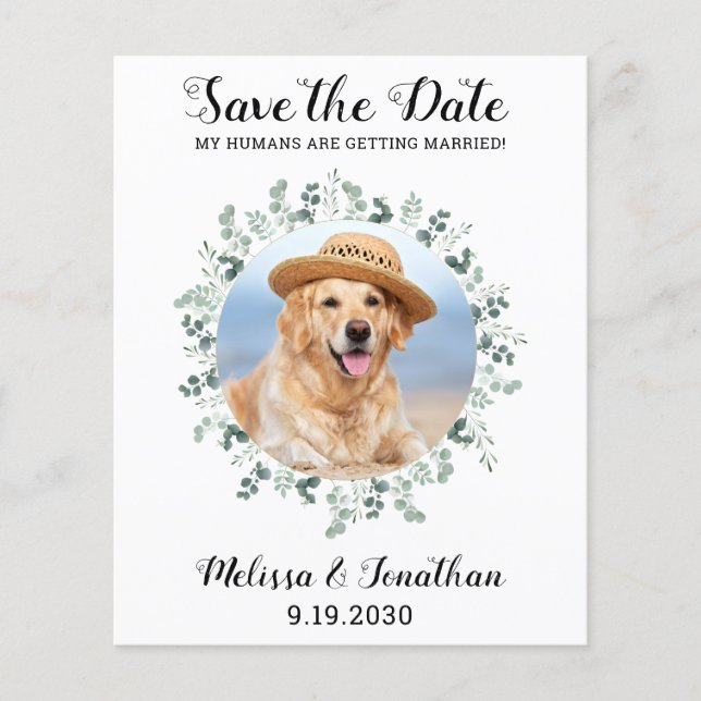 Budget Eucalyptus Pet Wedding Dog Save The Date  (Front)