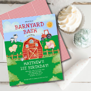 Budget Farm/Barn Yard Animals 1st Birthday Party