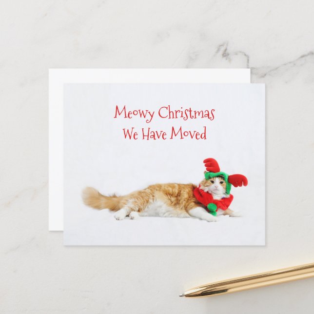Budget Funny Cat Christmas Moving New Address (Front/Back In Situ)