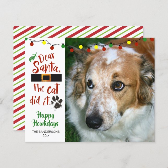 Budget Funny Dog Photo Holiday Greeting Card (Front/Back)