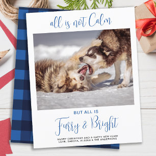 Budget Funny Pet All Is Not Calm Photo Christmas