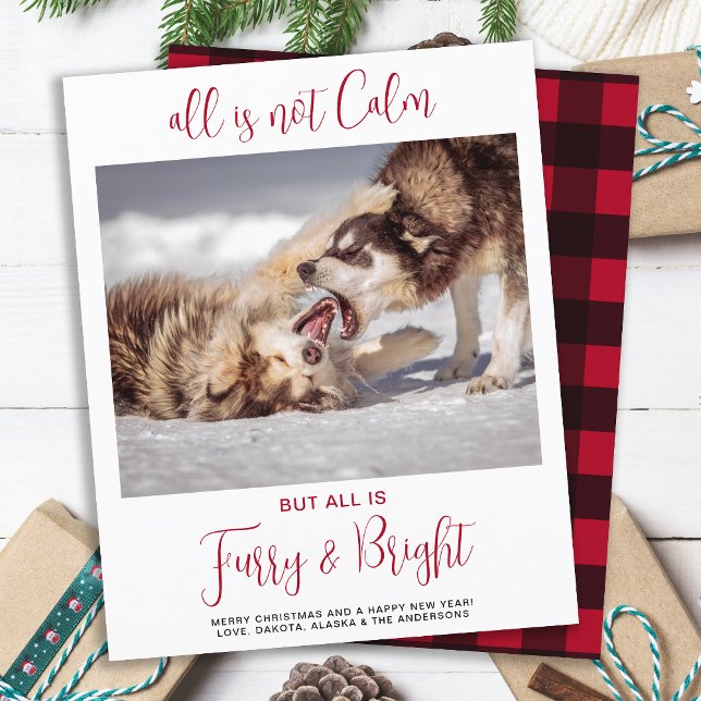 Budget Funny Pet Furry & Bright Photo Christmas  (Creator Uploaded)