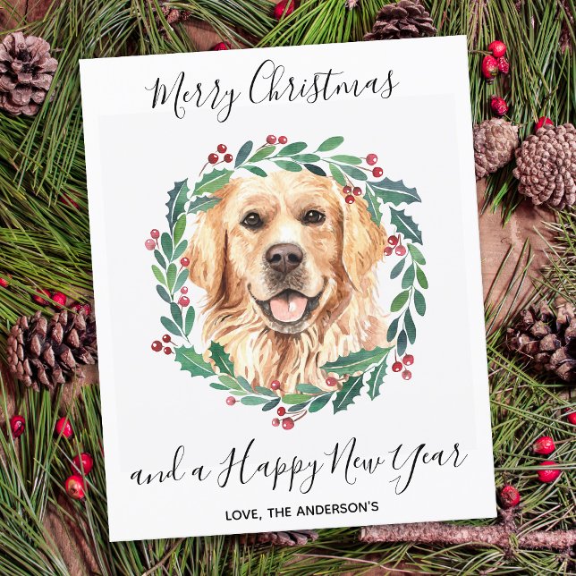 Budget Golden Retriever Dog Christmas Postcard (Creator Uploaded)