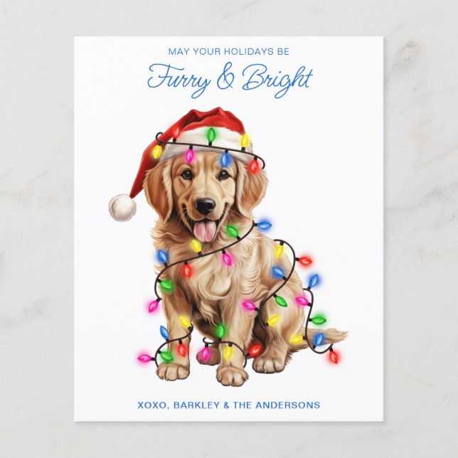 Budget Golden Retriever Dog Furry & Bright Card (Front)