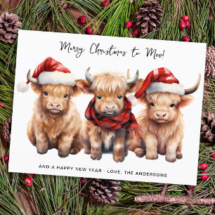 Budget Highland Cow Calf Merry Christmas Holiday