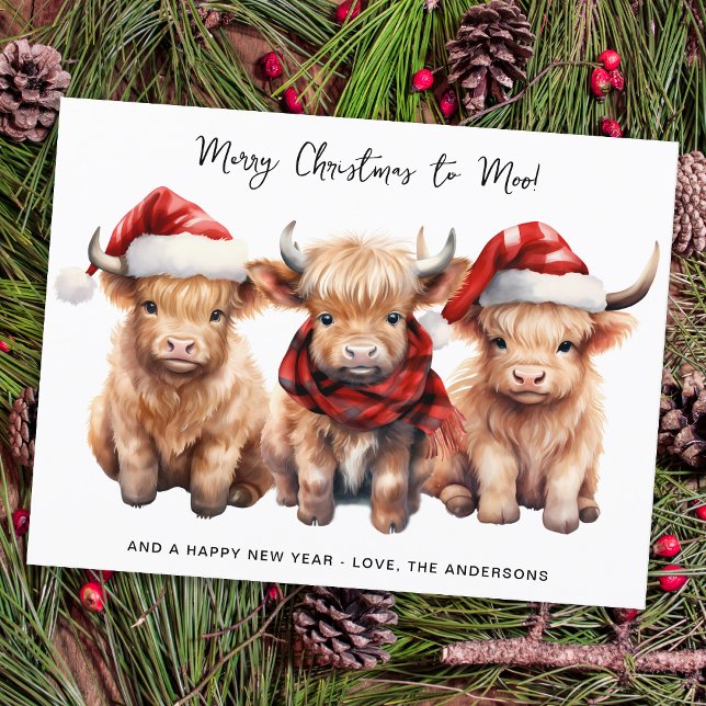 Budget Highland Cow Calf Merry Christmas Holiday (Creator Uploaded)