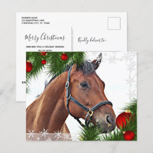 Budget Horse Christmas Equine Cute Pony Holiday