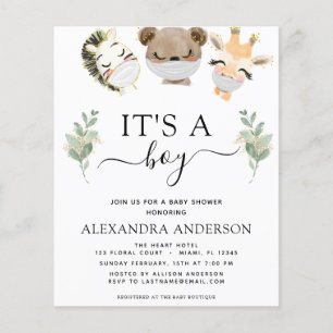 Budget It's a Boy Baby Shower Woodland Eucalyptus