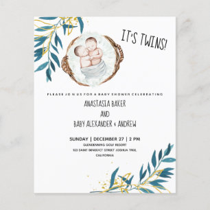 Budget It's twins! Baby shower Invitation. Flyer