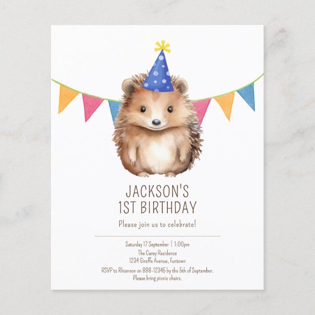 Budget kids birthday invitation, cute Hedgehog Flyer (Front)