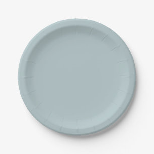 BUDGET Light Sage Green Monochrome Wedding Paper Plate