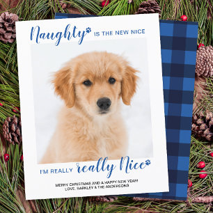 Budget Naught Nice Funny Pet Photo Holiday Card