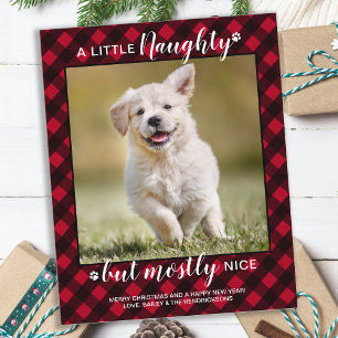 Budget Naughty Nice Pet Photo Red Plaid Holiday
