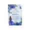 Budget Navy Blue Gold Floral Princess Quinceañera