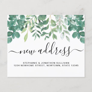 Budget New Address Eucalyptus Announcement