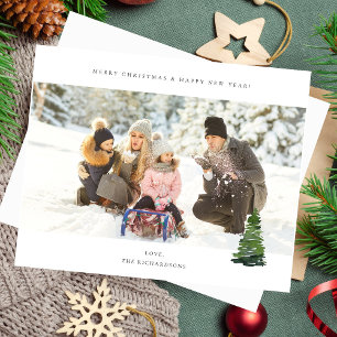 Budget Panoramic Chic H Photo - Christmas Tree