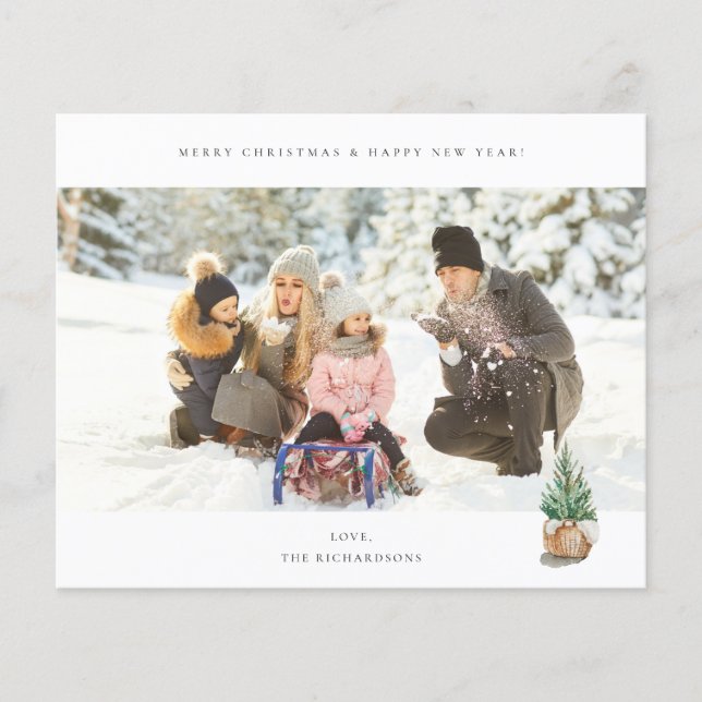 Budget Panoramic Chic H Photo - Winter Tree Flyer (Front)